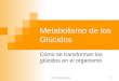 Prof. Viviana Sabbatino 1 Metabolismo de los Glúcidos Cómo se transforman los glúcidos en el organismo
