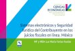 Sistemas electrónicos y Seguridad Jurídica del Contribuyente en los juicios fiscales en línea. México MF y MBA Luz María Farías Ruelas