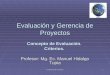 Evaluacion de Proyectos1 Concepto de Evaluación. Criterios. Profesor: Mg. Ec. Manuel Hidalgo Tupia Evaluación y Gerencia de Proyectos
