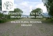 REFORESTACIÓN EN EL ALTO MEZQUITAL 1985-2010 ENLACE RURAL REGIONAL HIDALGO