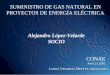 SUMINISTRO DE GAS NATURAL EN PROYECTOS DE ENERGÍA ELÉCTRICA Alejandro López-Velarde SOCIO CONAE Abril 23, 2002