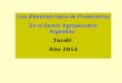 Los diferentes tipos de Productores En el Sector Agropecuario Argentino Tandil Año 2014