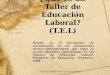 ¿Qué es un Taller de Educación Laboral? (T.E.L) Prof. Erika Marano. Sólo con fines didácticos. Basado en el documento de Actualización de los lineamientos