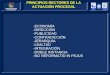 PRINCIPIOS RECTORES DE LA ACTUACIÓN PROCESAL -ECONOMÍA -DIRECCIÓN -PUBLICIDAD -CONTRADICCIÓN -JERARQUÍA -LEALTAD -INTEGRACIÓN -DOBLE INSTANCIA -NO REFORMATIO