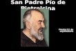 San Padre Pío de Pietrelcina Fiesta:23 de septiembre