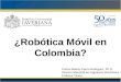 ¿Robótica Móvil en Colombia? Carlos Alberto Parra Rodríguez, Ph.D. Director Maestría en Ingeniería Electrónica Profesor Titular