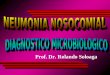 Prof. Dr. Rolando Soloaga. Segunda causa más frecuente de infección nosocomial Segunda causa más frecuente de infección nosocomial (incidencia de 5-15