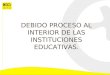 DEBIDO PROCESO AL INTERIOR DE LAS INSTITUCIONES EDUCATIVAS