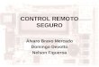 CONTROL REMOTO SEGURO Álvaro Bravo Mercado Domingo Devotto Nelson Figueroa