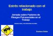 Estrés relacionado con el trabajo Jornada sobre Factores de Riesgos Psicosociales en el Trabajo Buenos Aires, 6 de diciembre de 2004 Gustavo Sodor