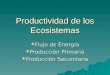 Productividad de los Ecosistemas  Flujo de Energía  Producción Primaria  Producción Secundaria