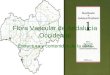 Flora Vascular de Andalucía Occidental Estructura y contenidos de la obra
