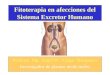 Fitoterapia en afecciones del Sistema Excretor Humano Profesor. Mg. Angel,W. Vargas Mosqueira Investigador de plantas medicinales