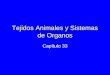 Tejidos Animales y Sistemas de Organos Capítulo 33