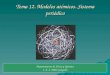 Tema 12. Modelos atómicos. Sistema periódico Departamento de Física y Química I. E. S. Pablo Gargallo