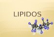 LIPIDOS. Los lípidos son un conjunto de moléculas orgánicas, la mayoría son biomoléculas, compuestas principalmente por carbono e hidrógeno y en menor
