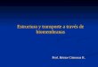 Prof. Héctor Cisternas R. Estructura y transporte a través de biomembranas