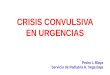 CRISIS CONVULSIVA EN URGENCIAS Pedro L Blaya Servicio de Pediatría H. Vega Baja