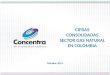 Octubre 2014 CIFRAS CONSOLIDADAS SECTOR GAS NATURAL EN COLOMBIA