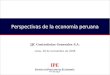 Www.ipe.org.pe Perspectivas de la economía peruana JJC Contratistas Generales S.A. Lima, 28 de noviembre de 2008