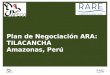 Plan de Negociación ARA: TILACANCHA Amazonas, Perú