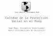 Calidad de la Protección Social en el Perú Hugo Ñopo. Economista Investigador Banco Interamericano de Desarrollo Inter-American Development Bank