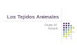 Los Tejidos Animales Grupo #2 Tema:8. Integrantes Yolanda Gallardo Maria Esther García Michelle Recarte Katherine López