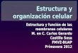 Estructura y función de las membranas celulares M. en C. Carlos Gerardo Castillo Sosa FMVZ-BUAP Primavera 2012 Estructura y función de las membranas celulares