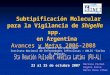 Subtipificación Molecular Shigella spp. para la Vigilancia de Shigella spp. en Argentina Avances y Metas 2006-2008 23 al 25 de octubre 2007 Mariana Pichel