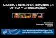 MINERIA Y DERECHOS HUMANOS EN AFRICA Y LATINOAMERICA Mauricio Lazala Director para Latinoamérica Julio 2008