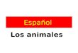 Español Los animales. Hoy vamos a … hablar un poco de Perú y de España aprender los nombres de 12 animales de Perú y España aprender algunas características