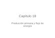 Capítulo 18 Producción primaria y flujo de energía