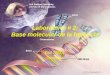 Laboratorio # 2: Base molecular de la herencia Biol 3300L Genética