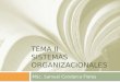 TEMA II SISTEMAS ORGANIZACIONALES MSc. Samuel Condarco Flores