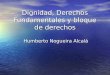 Dignidad, Derechos Fundamentales y bloque de derechos Humberto Nogueira Alcalá
