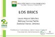 LOS BRICS Laura Hoyos Sánchez Melissa Correa Patiño Daniela Franco Jiménez Politécnico Colombiano Jaime Isaza Cadavid Facultad de Administración