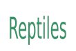 Los reptiles son animales vertebrados. Se estima que hace unos 310 millones de años descendieron de los anfibios, pero no de los anfibios modernos de