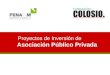 Proyectos de Inversión de Asociación Público Privada