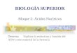 BIOLOGÍA SUPERIOR Bloque 2: Ácidos Nucleicos Destreza: Explicar la estructura y función del ADN como material de la herencia