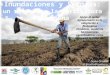 Diana Giraldo d.giraldo@cgiar.org Apoyo al sector agropecuario en la adaptación a fenómenos climáticos, mediante herramientas agroclimáticas como apoyo