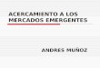 ACERCAMIENTO A LOS MERCADOS EMERGENTES ANDRES MUÑOZ