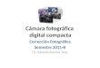 Cámara fotográfica digital compacta Corrección Fotográfica Semestre 2011-B Lic. Gabriela Ramírez Trejo