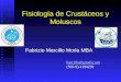 Fisiología de Crustáceos y Moluscos Fabrizio Marcillo Morla MBA barcillo@gmail.com (593-9) 4194239