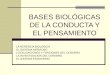 BASES BIOLÓGICAS DE LA CONDUCTA Y EL PENSAMIENTO - LA HERENCIA BIOLÓGICA - EL SISTEMA NERVIOSO - LOCALIZACIONES Y FUNCIONES DEL CEREBRO - LA INVESTIGACIÓN