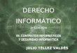 JULIO TÉLLEZ VALDÉS DERECHO INFORMÁTICO 3 a EDICIÓN VII. CONTRATOS INFORMÁTICOS Y SEGURIDAD INFORMÁTICA