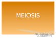MEIOSIS POR: CRISTINA ACOSTA LIC. BIOLOGÍA UPN. MEIOSIS 1 Célula madre diploide (2n) Inicia con Termina 4 Células haploides (n) Proceso realizado en Células