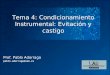Tema 4: Condicionamiento Instrumental: Evitación y castigo Prof. Pablo Adarraga pablo.adarraga@uam.es