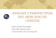 ANALISIS Y PERSPECTIVAS DEL MERCADO DE CEREZAS Raúl Cerda González Facultad Agronomía Universidad de Concepción