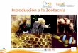 Introducción a la Zootecnia FI-GQ-GCMU-004-015 V. 001-17-04-2013
