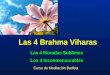 Las 4 Brahma Viharas Curso de Meditación Budista Los 4 Inconmensurables Las 4 Moradas Sublimes